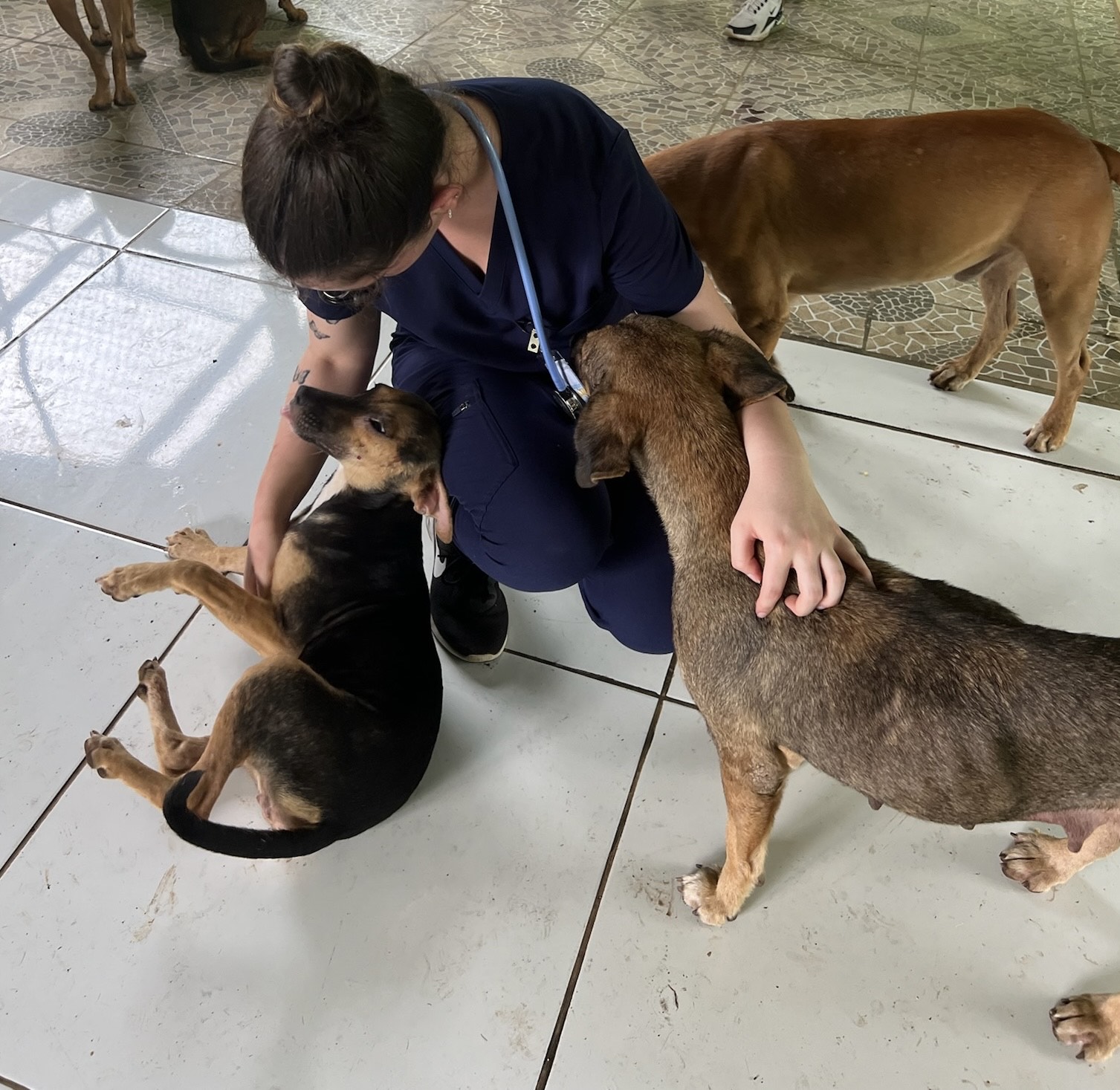 Sam_from_Ottawa.jpeg
