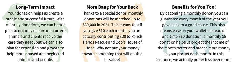 Donate Now Ranch Hands Rescue