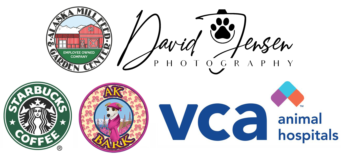 Dog Jog 2026 Sponsors
